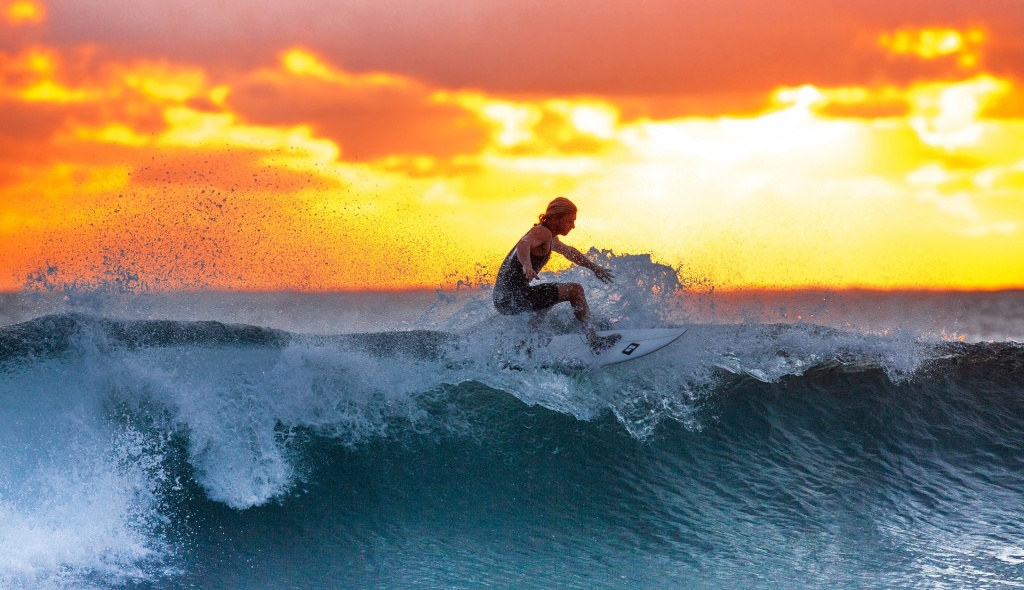 surfer_wave_sunset_the_indian_ocean_390051.jpeg