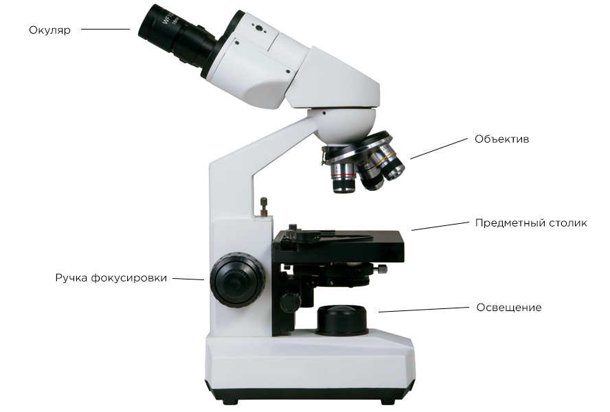 Основные элементы микроскопау
