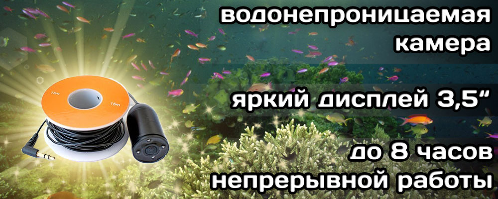 fishka350_2.jpg