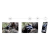 image preview