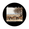 image preview