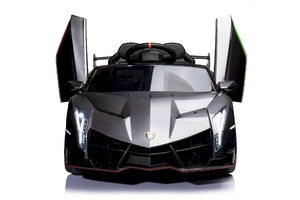 Автомобиль Lamborghini Veneno ХМХ 615В Серебро краска, фото 2