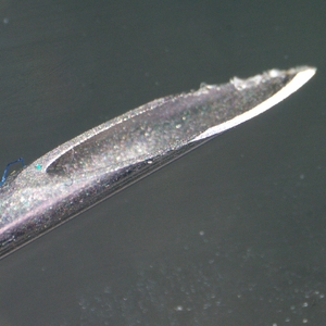 Микроскоп стереоскопический цифровой MAGUS Stereo D9T LCD, фото 9