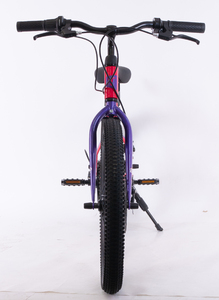 Велосипед детский Tech Team Forca 20" red 2024 (магниевый сплав), фото 4