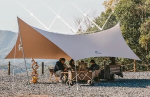 Тент кемпинговый Naturehike Lianyun, 696x480 см, алюминиевый каркас, золотистый CNH22ZP023-GOLD, фото 2