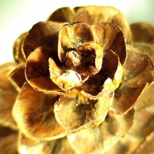 Микроскоп стереоскопический MAGUS Stereo A18T, фото 9