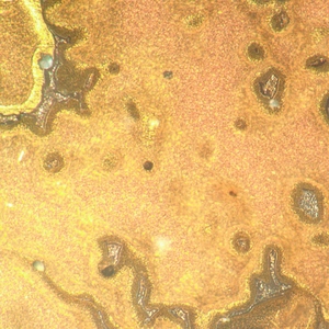 Микроскоп металлографический инвертированный MAGUS Metal V790 DIC, фото 15