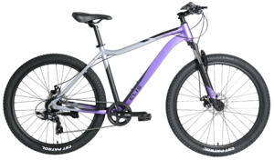 Велосипед TechTeam Elis 29"х17" фиолетовый 2024