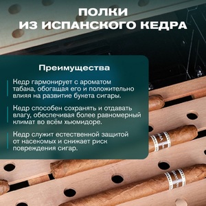 Хьюмидор шкаф Meyvel MC-50BK (Профессиональный), фото 5