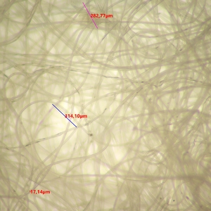 Микроскоп стереоскопический цифровой MAGUS Stereo D9T LCD, фото 7