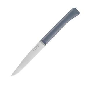 Нож столовый Opinel N°125 , полимерная ручка, нерж, сталь, антрацит. 001903, фото 1