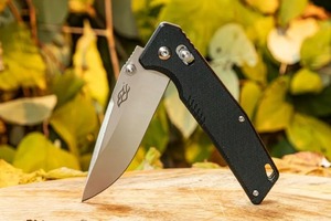 Нож Firebird by Ganzo FB7601-BK черный, фото 12