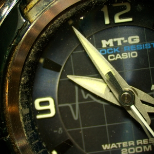 Микроскоп стереоскопический MAGUS Stereo 8B, фото 12