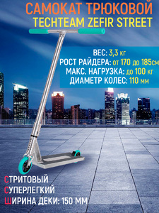 Самокат трюковой TechTeam Zefir Street emerald, фото 1