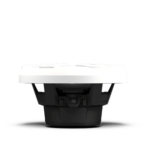 Сабвуфер влагозащищенный Rockford Fosgate M2D2-10I-G2, фото 9