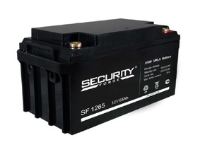 Аккумулятор Security Force SF 1265, фото 1