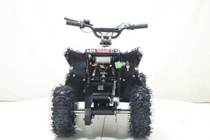 Квадроцикл Toyland ATV-2E 36V1000W Мульти черный (Scull 8), фото 2