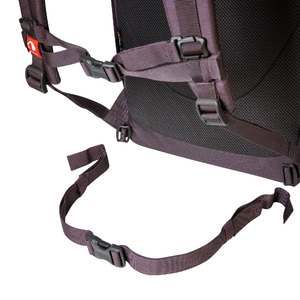 Рюкзак Tatonka GRIP ROLLTOP PACK 25 midnight plum, фото 4