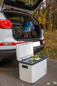 Компрессорный автомобильный холодильник Libhof K-30 (12/24В), фото 10