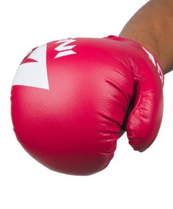Перчатки боксерские Insane MARS, ПУ, красный, 4 oz, фото 3
