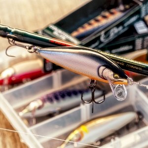 Воблер RAPALA CountDown Elite 95 GDCY тонущий 1,2м, 9,5см, 14гр, фото 6