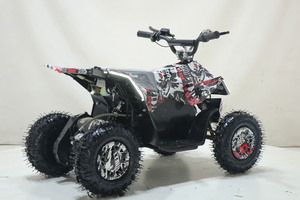 Квадроцикл Toyland ATV-2E 36V1000W Мульти черный (Scull 8), фото 3