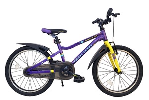 Велосипед детский Tech Team Drift 20" фиолетовый 2024 (алюмин)