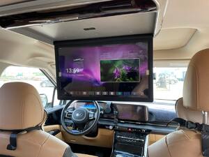 Автомобильный потолочный монитор 17,3" ERGO ER1750AN на ANDROID (серый), фото 14