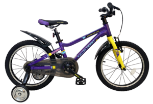 Велосипед детский TechTeam Drift 18" фиолетовый (алюмин), фото 2