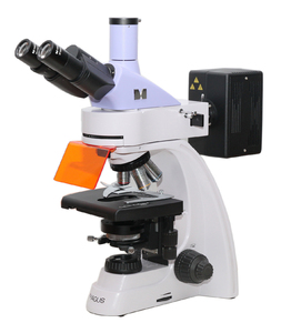 Микроскоп люминесцентный MAGUS Lum 400