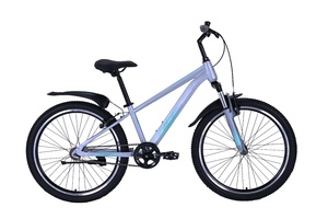 Велосипед Tech Team Calibri 24"x12" серебряный (сталь) 2025, фото 2