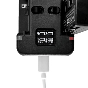 Зарядное устройство GreenBean QuadCharger NPF, фото 8