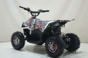 Квадроцикл Toyland ATV-2E 36V1000W Мульти черный (Scull 8), фото 8