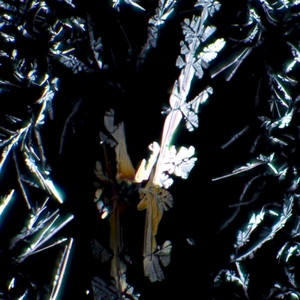 Устройство простой поляризации MAGUS SPD2, фото 5