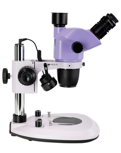 Микроскоп стереоскопический MAGUS Stereo 8T, фото 6