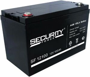 Аккумулятор Security Force SF 12100, фото 1