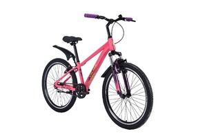 Велосипед Tech Team Calibri 24"x12"( розовый  сталь)2025, фото 3
