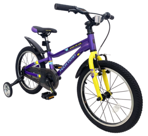 Велосипед детский TechTeam Drift 16" фиолетовый (алюмин), фото 1