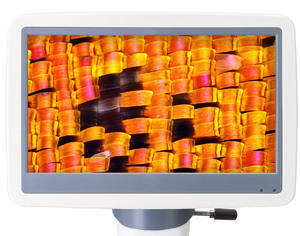 Микроскоп цифровой Levenhuk D95L LCD, монокулярный, фото 6
