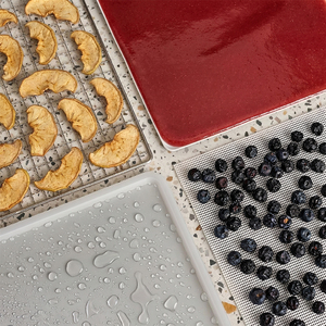 Дегидратор Meyvel MDH12-2S (Чёрный) (Black), фото 16