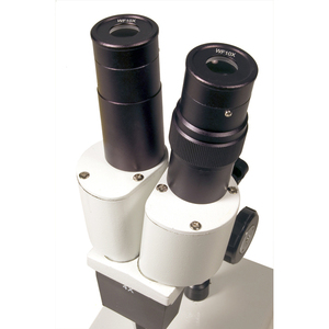 Микроскоп Levenhuk 2ST, бинокулярный, фото 5