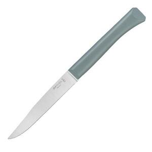Нож столовый Opinel N°125, полимерная ручка, нерж, сталь, шалфей. 002195, фото 1