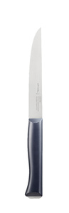 Нож столовый Opinel №220, пластиковая рукоять, нержавеющая сталь, 002220, фото 2