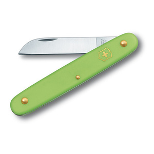 Нож Victorinox EcoLine Floral, 100 мм, 1 функция, салатовый, фото 1
