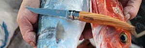 Нож филейный Opinel №12, нержавеющая сталь, рукоять оливковое дерево, 001145, фото 3