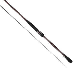 Удилище спиннинговое ZETRIX Headway ZHDS-752HH 20-75G, фото 1