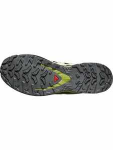 Кроссовки Salomon XA PRO 3D V9 GTX, цвет Black/Lime Cream р.8 (RU 40,5), фото 2