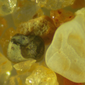 Микроскоп стереоскопический цифровой MAGUS Stereo D9T LCD, фото 8