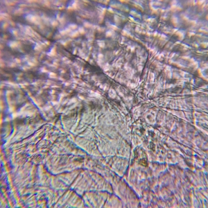 Микроскоп школьный Микромед Эврика SMART 40х-1280х в текстильном кейсе, фото 16