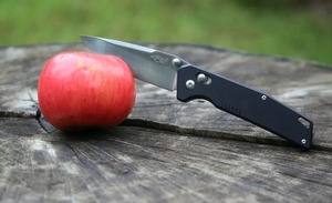 Нож Firebird by Ganzo FB7601-BK черный, фото 9